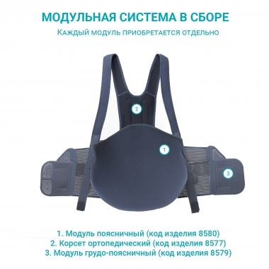 ORLETT 8580-001 Модуль поясничный ORLETT BS-222 (2)