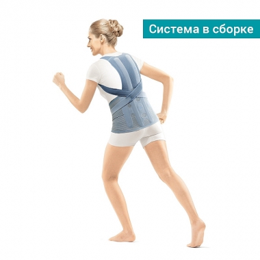 ORLETT 8580-001 Модуль поясничный ORLETT BS-222 (2)